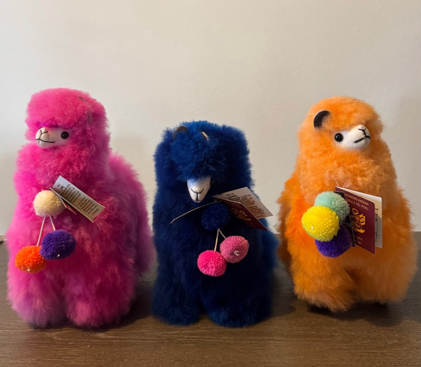 Extra Fluffy Peruvian Alpacas