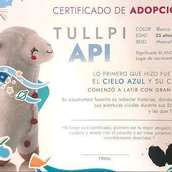 Tullpi Api