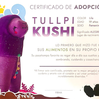 Tullpi Kushi