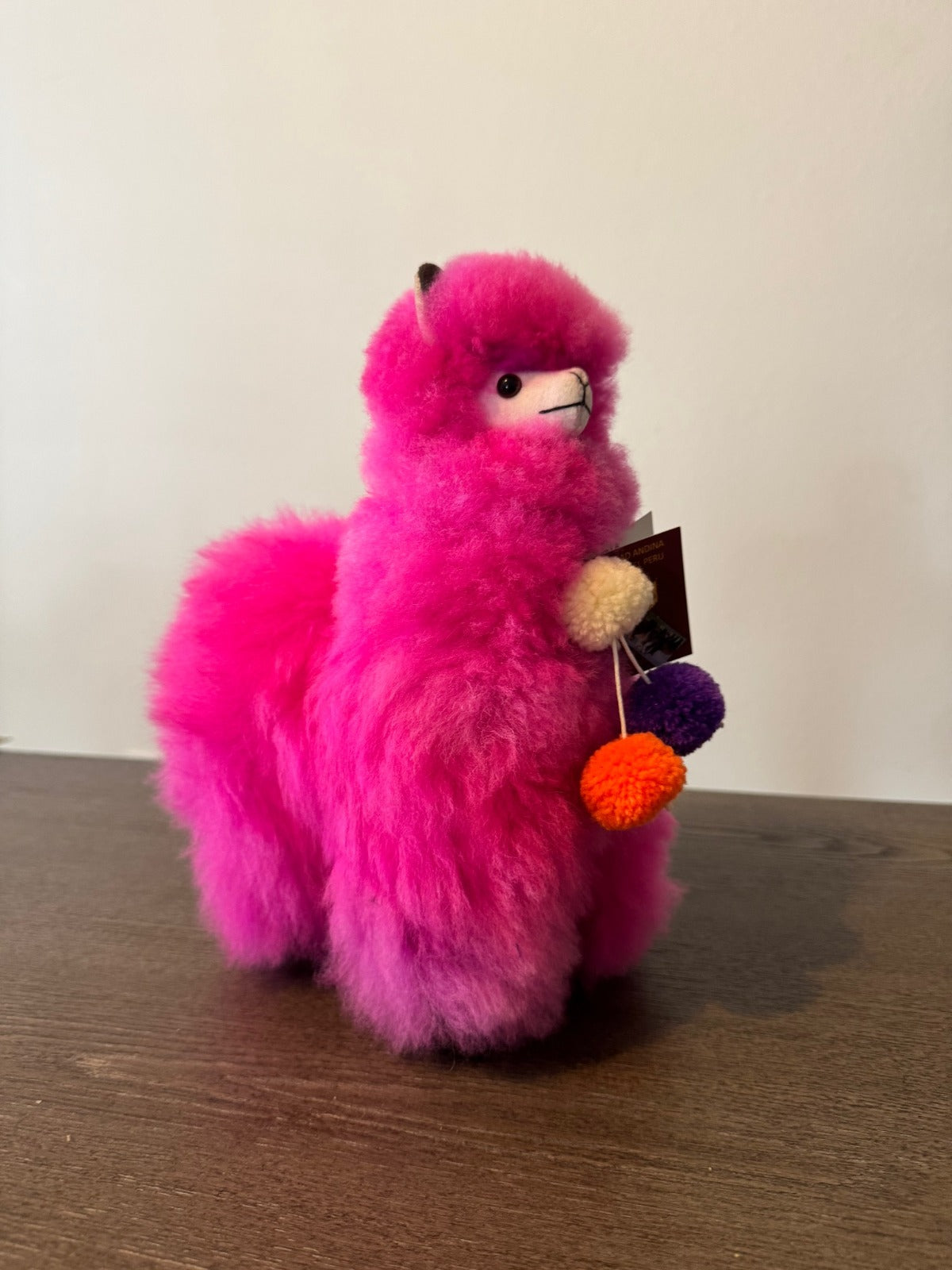 Extra Fluffy Peruvian Alpacas