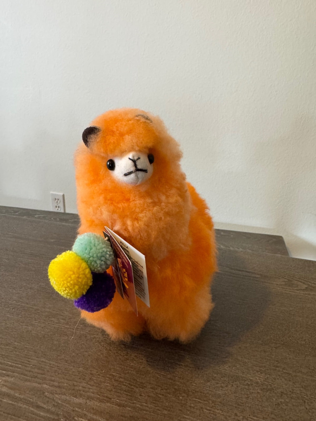 Extra Fluffy Peruvian Alpacas