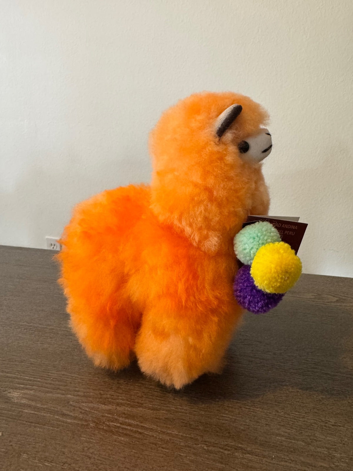 Extra Fluffy Peruvian Alpacas